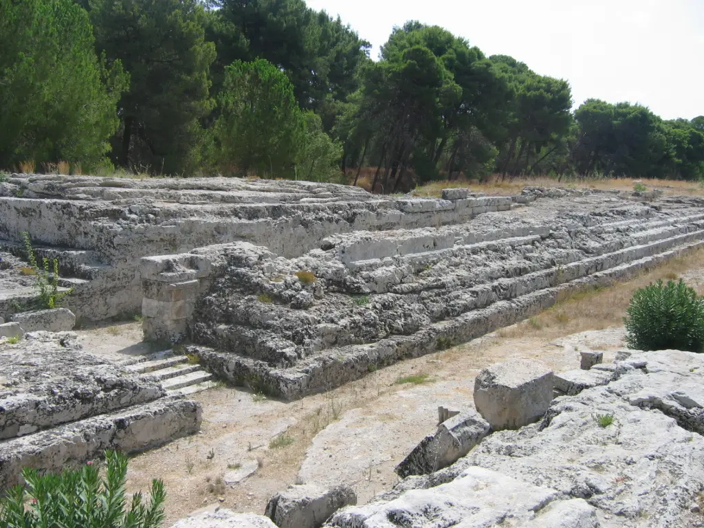 I resti in pietra dell’Ara di Ierone II fra gli alberi di pino