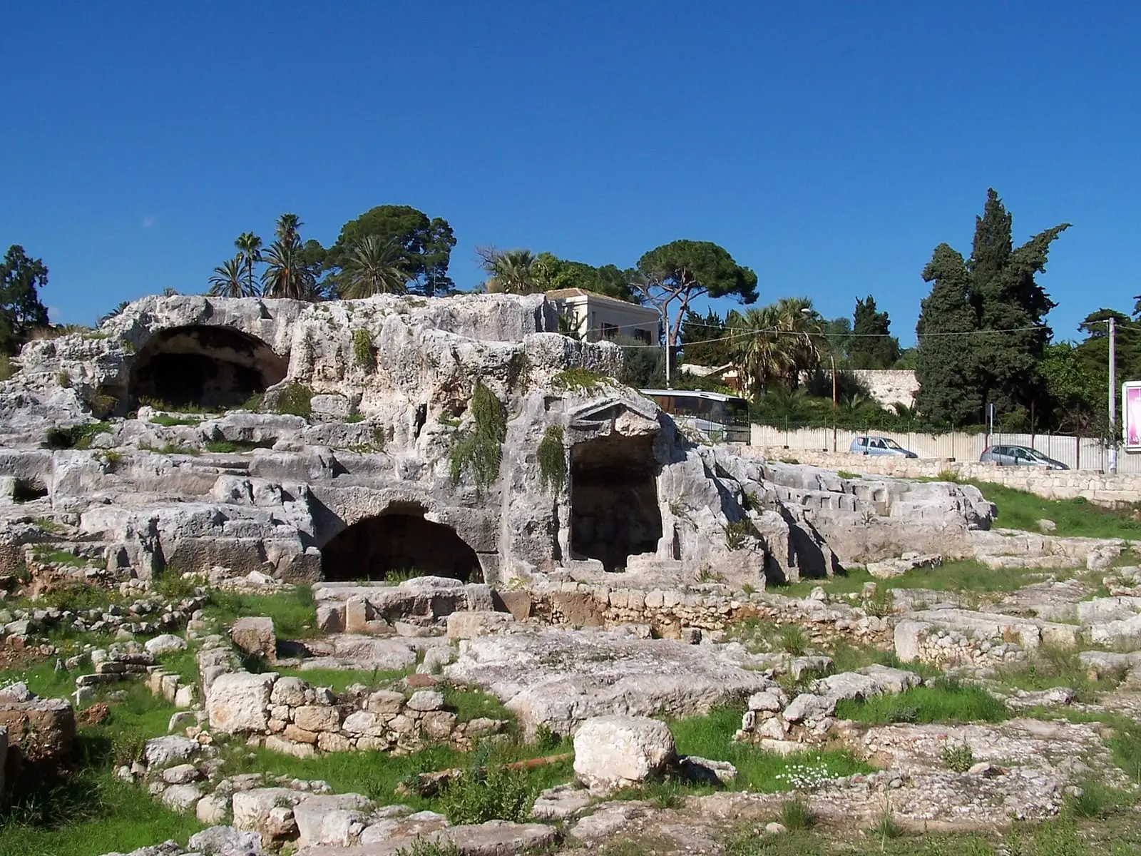 Tombe rupestri scavate nel tufo, con i pini sul ciglio della cava